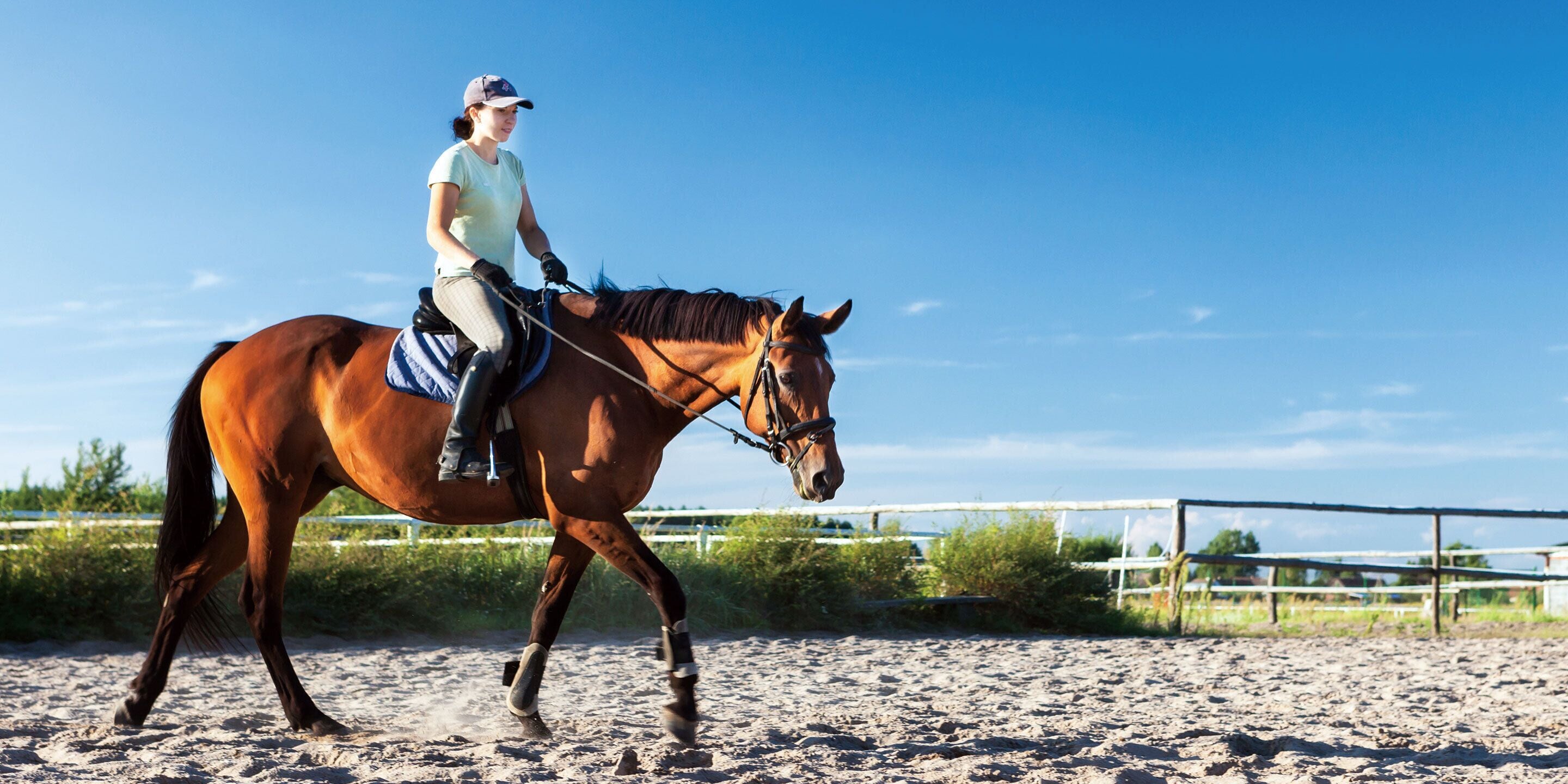A person riding a horse in an outdoor arena with a sandy ground and a white fence in the background.