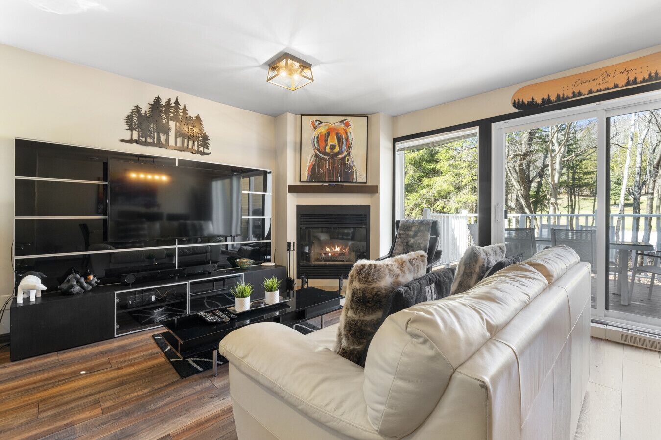 Smart TV, fireplace