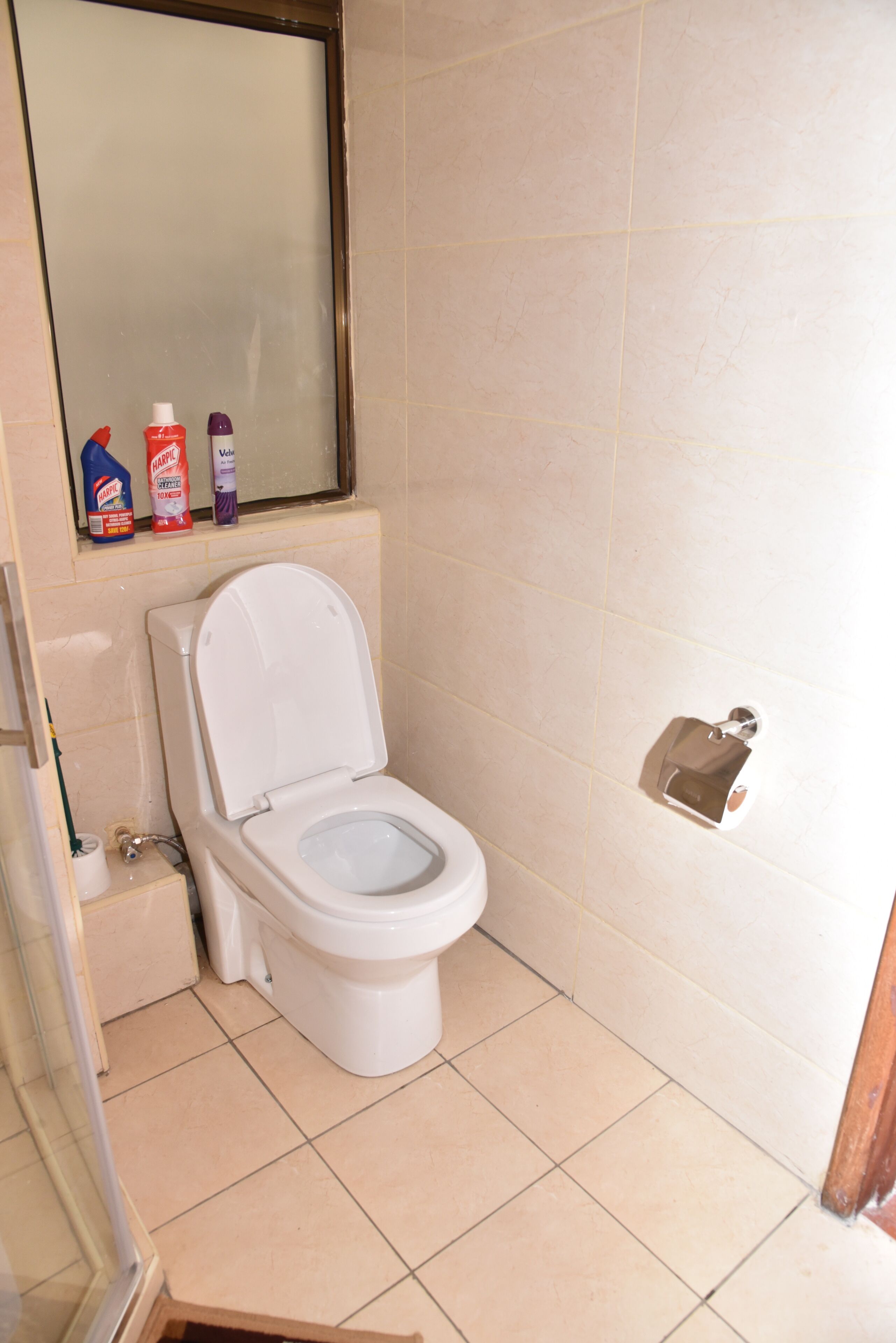 A bathroom with a toilet, a mirror, and a shelf with cleaning products.