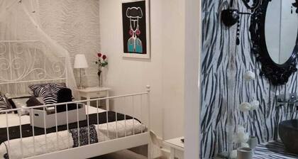 La Casa de Carmen apartment in the historic center with parking