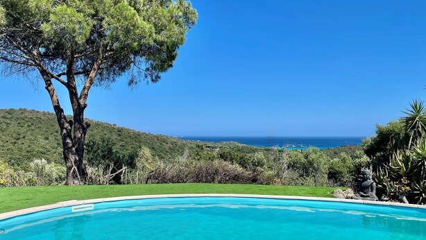 Una piscina con vistas claras al océano y un gran árbol al fondo.