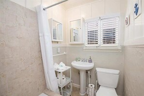Shower, hair dryer, towels, shampoo