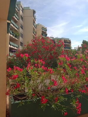 Property grounds - Beautiful spacious and bright apartment with large balcony (Montpellier)