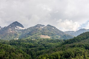 View from room - More Apartments na Estonskoy 37 k2 (Estosadok)
