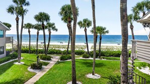 Zona residencial con un camino que lleva a una playa, rodeada de palmeras y una vista despejada del océano.