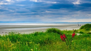 Ein Strand mit einer grasbewachsenen Vordergrund und einem bewölkten Himmel.