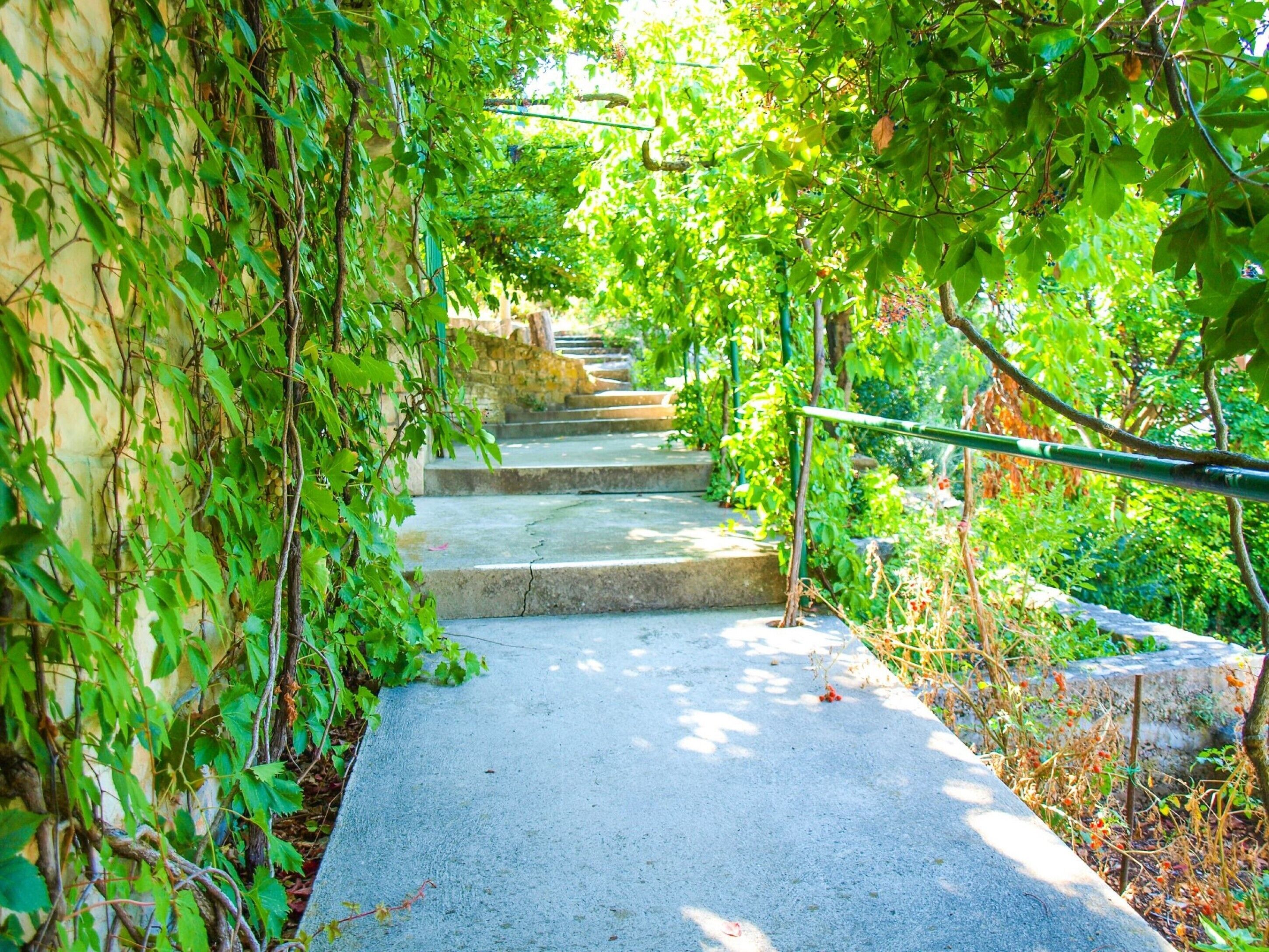 Apartment, 1 Queen Bed with Sofa bed | Property grounds