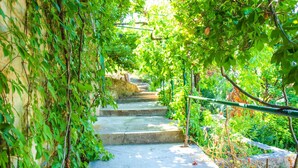 A stone staircase surrounded by lush greenery, leading up to a higher level. - Romantic Apartment With big Garden and Grill (Postira)