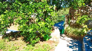 شقة - سرير كبير مع أريكة سرير | المنطقة المحيطة بالمنشأة