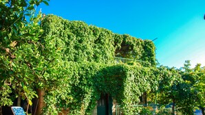 A building with a green ivy-covered exterior, a paved pathway leading to the entrance, and a blue chair with a sunshade in the foreground. - Romantic Apartment With big Garden and Grill (Postira)