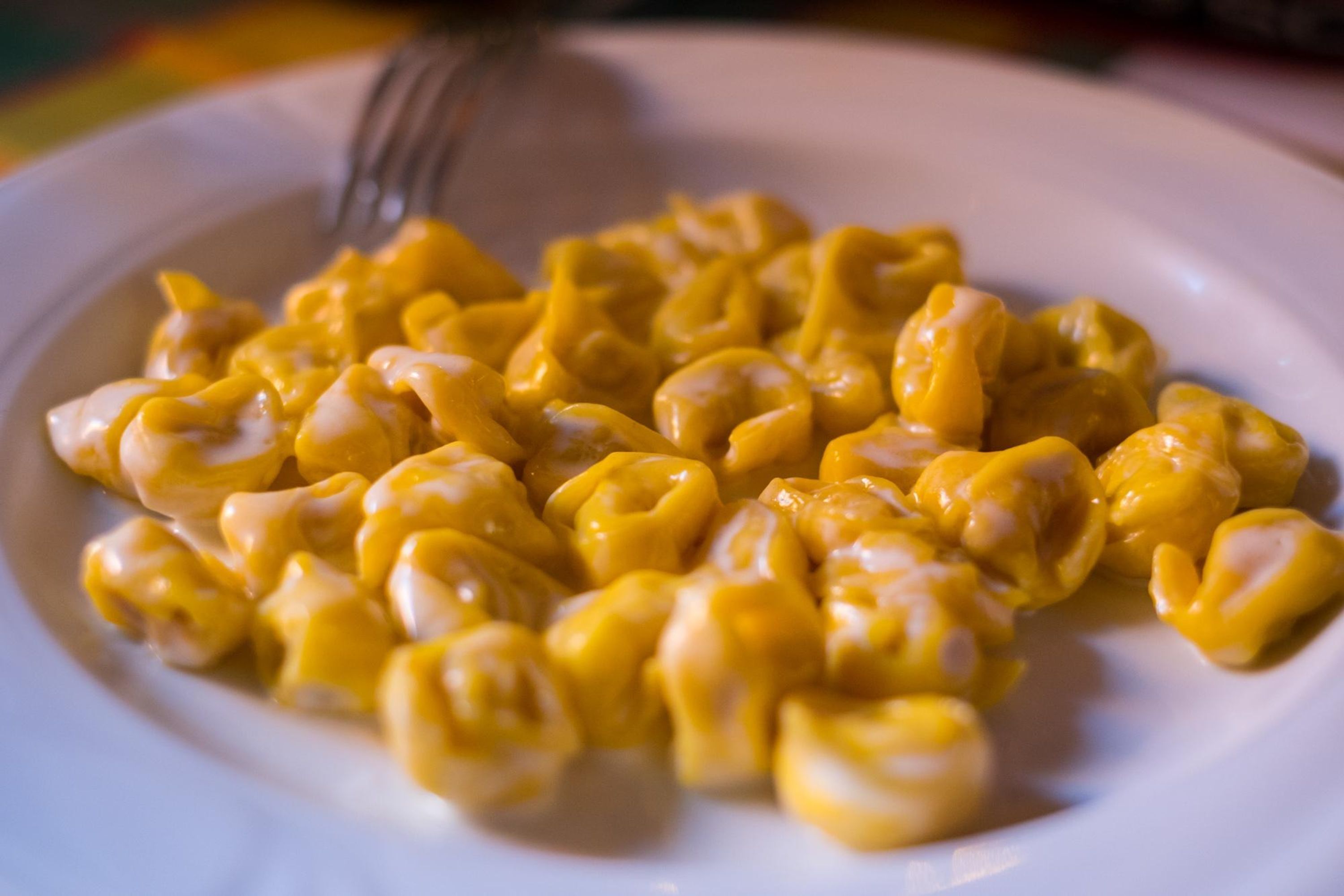 A plate of macaroni with cheese.