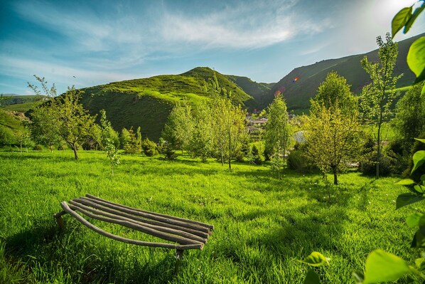 Terrain de l’hébergement 