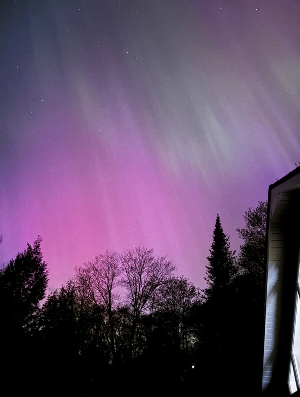 View from property - Waterfront Muskoka Cottage | FirePit, BBQ and Canoes (Bracebridge)