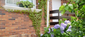 Villa con piscina - El Palacio 9801