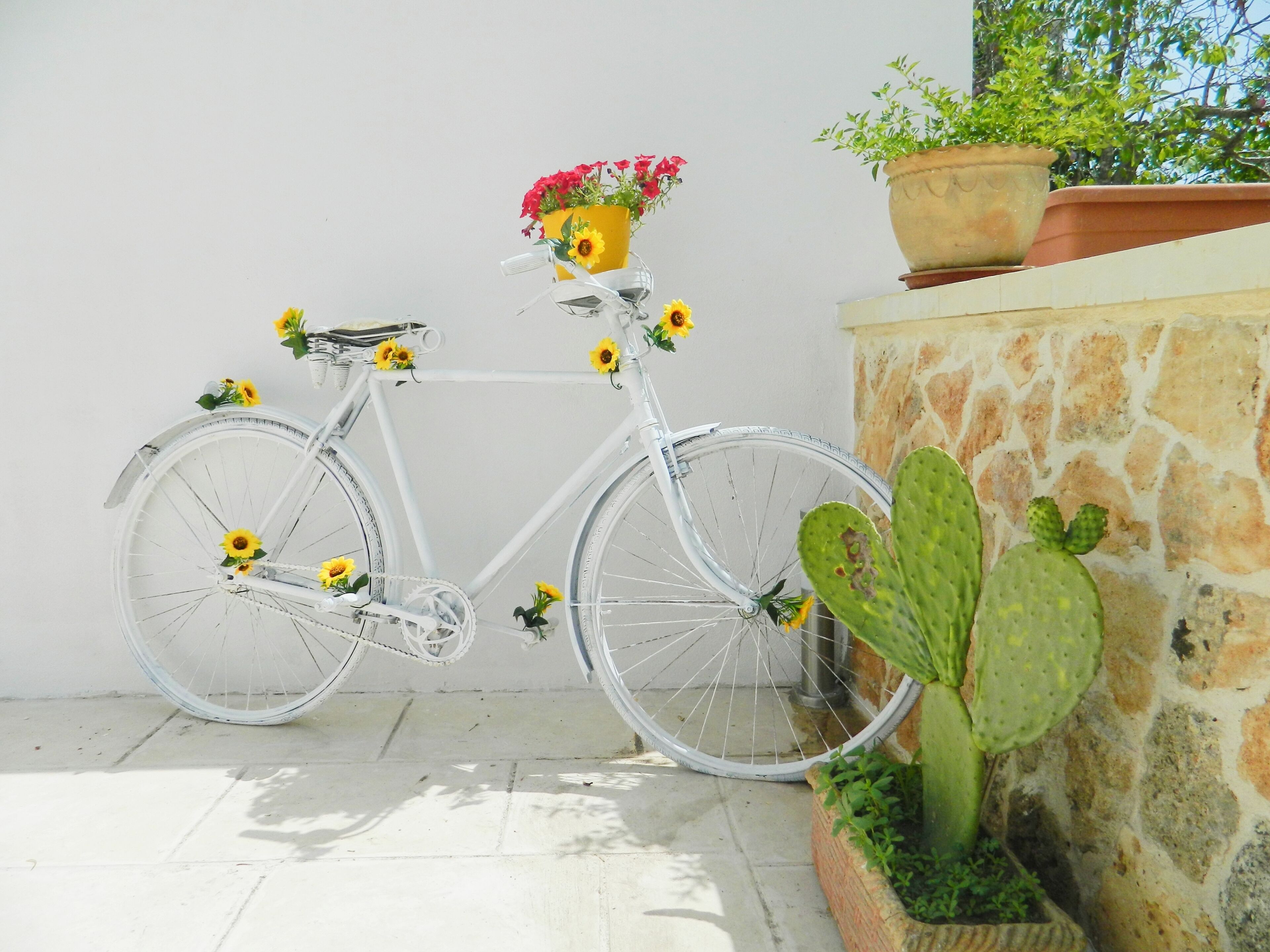 Ein weißes Fahrrad mit Sonnenblumen und einem Kaktus neben einer Steinmauer.