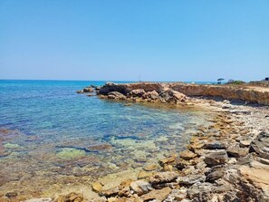 Lettini da mare