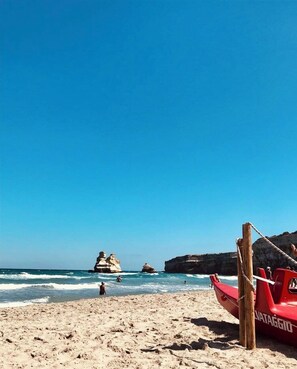 Lettini da mare