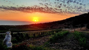 Vue depuis lâhĂ©bergement