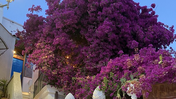 A staircase leading to a building with a blue door, a sign reading "LE DIMORE IN PIAZZETTA," and a purple flowering tree.
