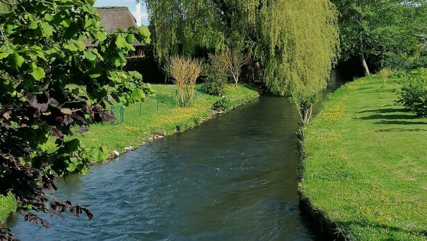 A narrow waterway flanked by lush greenery and trees, with a grassy bank on one side and a stone pathway on the other. - Maison LA Longe'yeres (Saint-Martin-le-Gaillard)