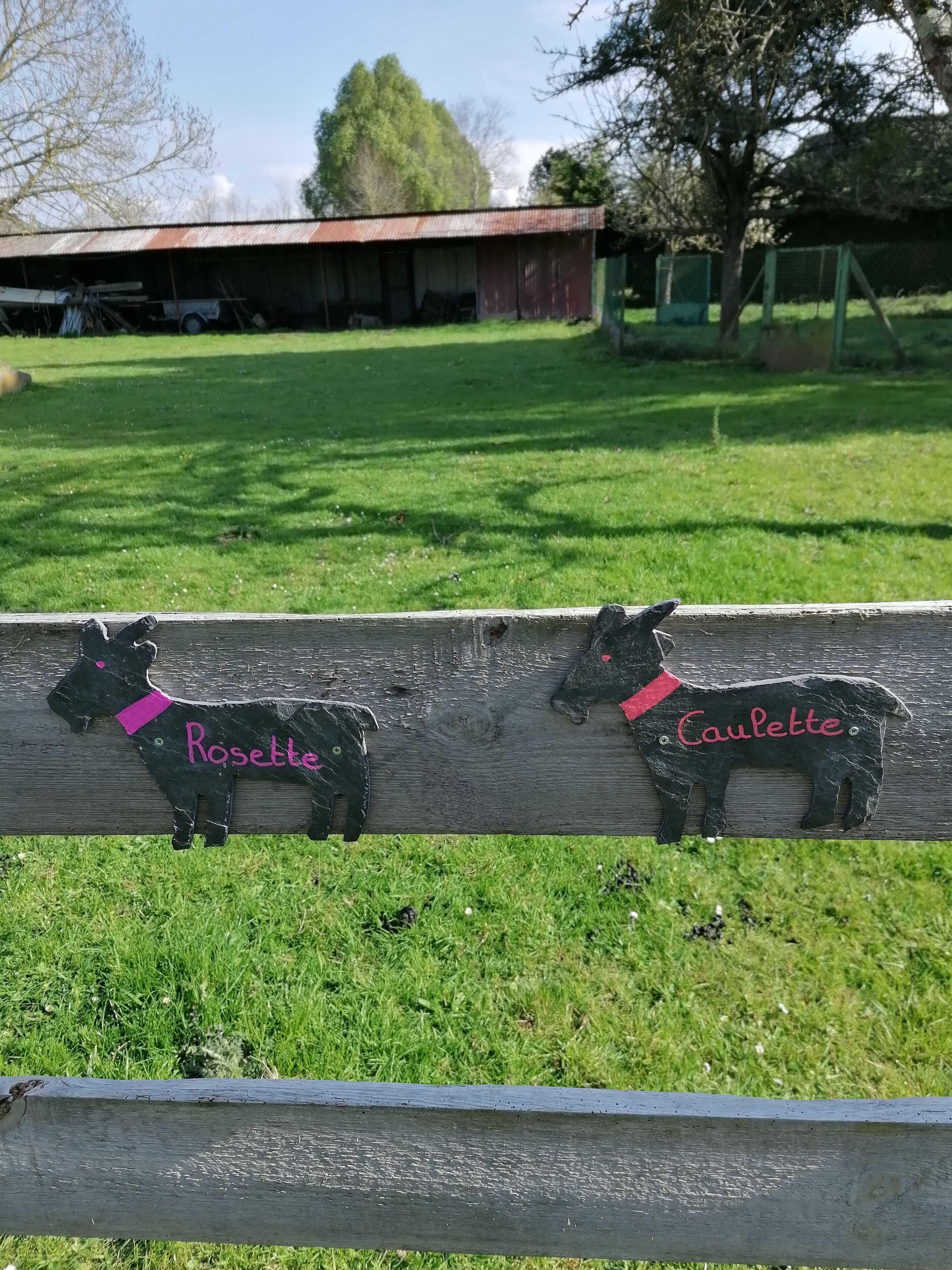 Une clôture en bois ornée de deux figurines de chiens, l’une portant le nom « Rosette » et l’autre « Caulette ».