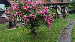 A Tudor-style house with a brick roof, a garden with pink flowers, and a stone pathway leading to the entrance. - Maison LA Longe'yeres (Saint-Martin-le-Gaillard)