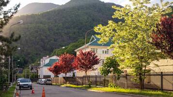 Apartment | Ausblick vom Zimmer