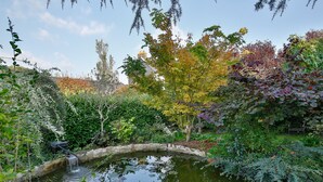 A garden with a pond, stone bridge, and various trees. - Le Cottage de La Maison Saint Léonard | Lovely Shared Garden in the Heart o (Honfleur)