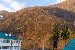 Apartment | Ausblick vom Zimmer