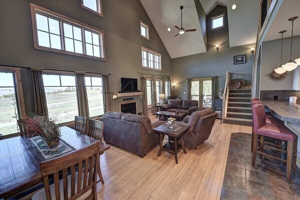 TV connectée, cheminée, lecteur de DVD, livres