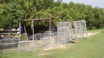 Pantai di sekitar dan pasir putih