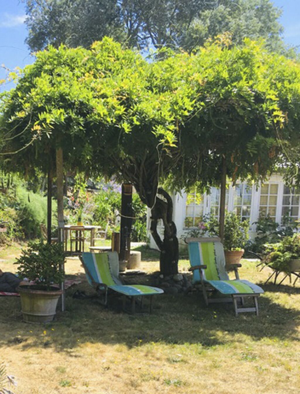 Terrein van de accommodatie