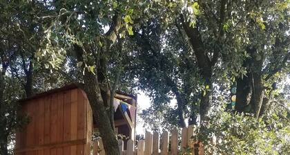 A louer belle maison avec grande piscine dans les Cévennes à proximité d'Anduze.