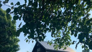 Een houten huis met een veranda, omringd door een grasveld en bomen.