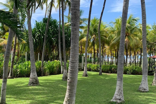 Àrea exterior de l'allotjament