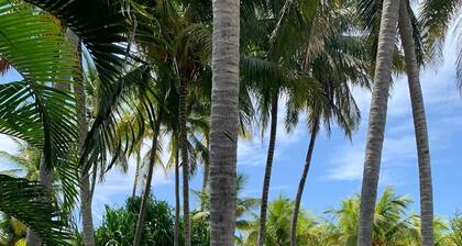 Rancho frente a la playa