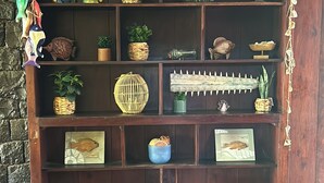 Une étagère en bois ornée de divers objets décoratifs, notamment des paniers tressés, des œuvres d’art encadrées et de petites plantes en pot.