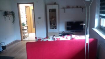 Fernseher, Kamin, Bücher