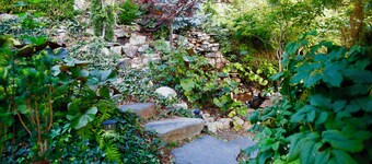 Three Lakes Vacation Suite...Enjoy life along the  “Scenic Sip”