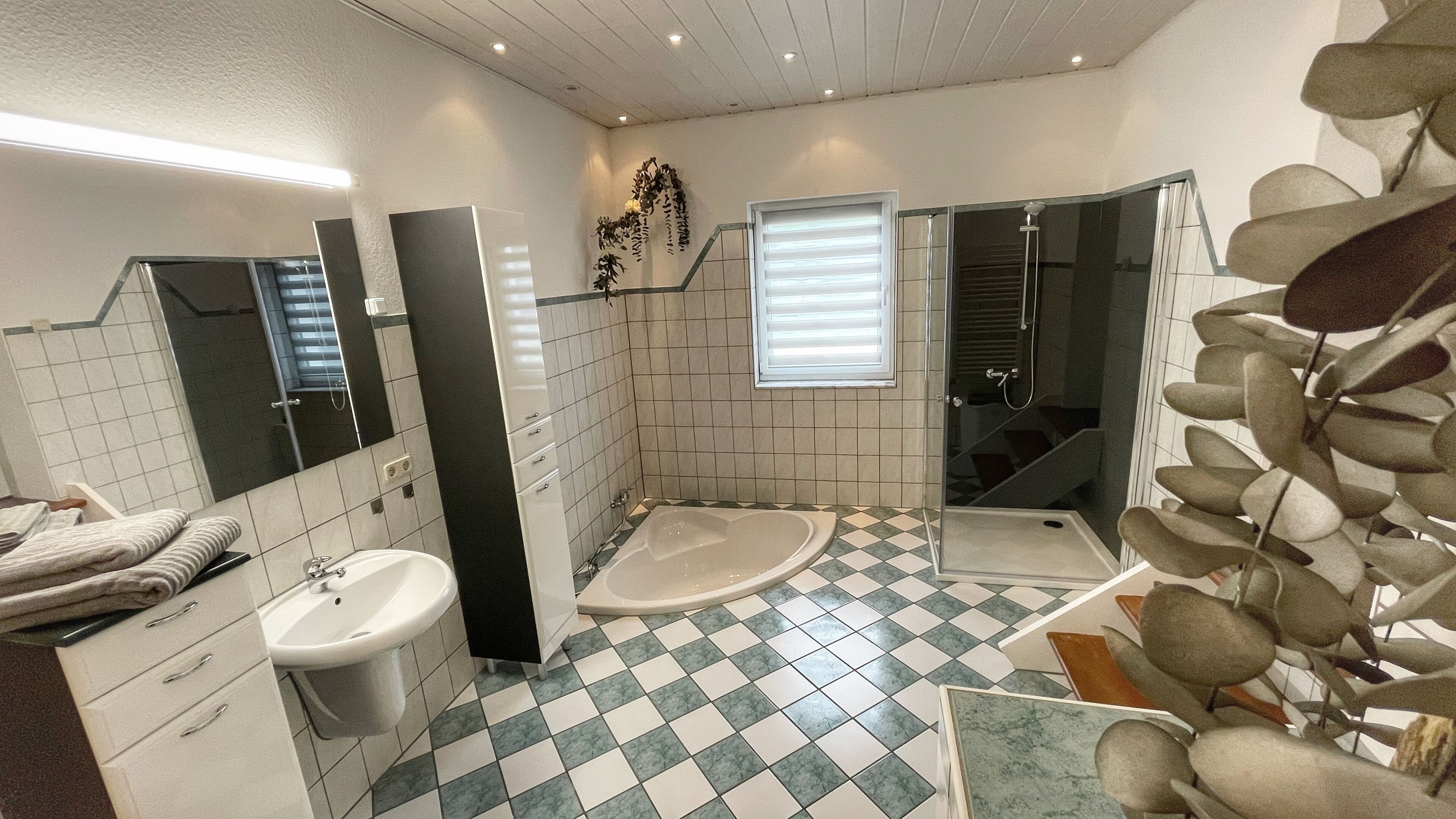 Bathtub, hair dryer, towels, soap