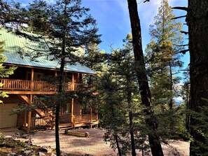 Property grounds - Secluded, Mystic Mountain Lodge w/cinema/arcade rm (Cloudcroft)