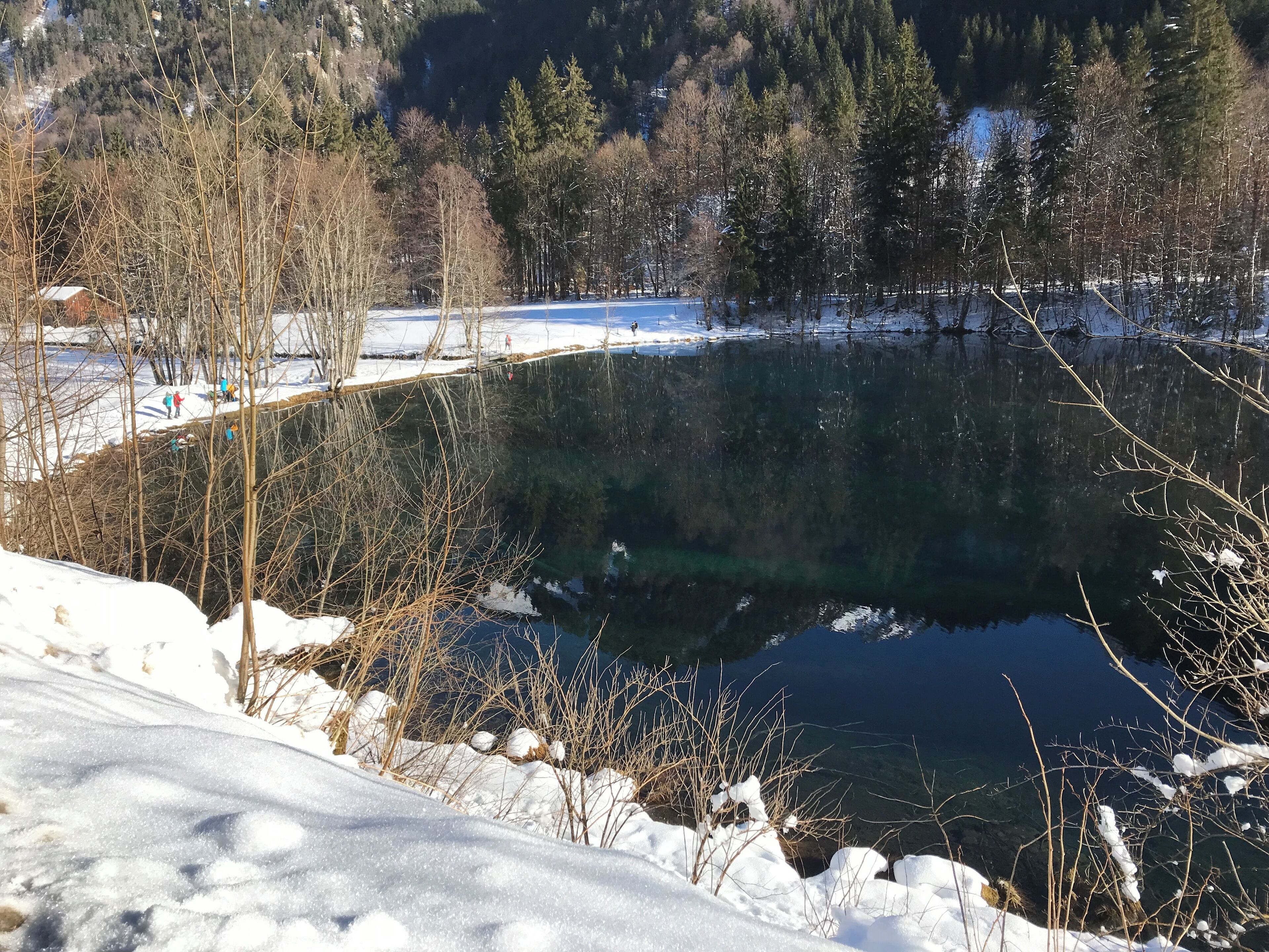 A serene winter landscape with a clear lake surrounded by snow-covered ground and trees.