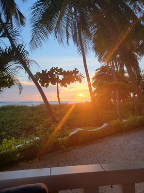 Terrain de l’hébergement 