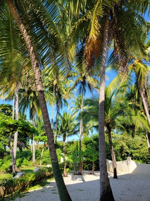 Terrain de l’hébergement 