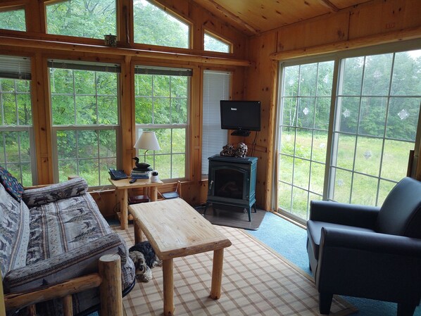 Una televisión, una chimenea