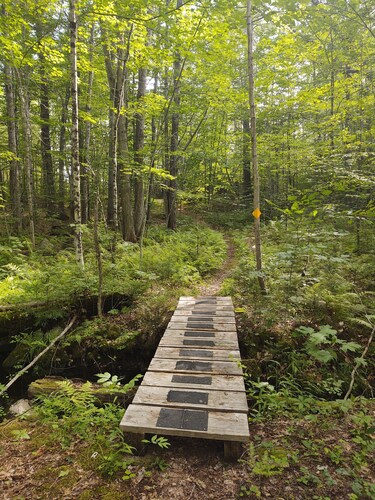 Beautiful Cabin Next To Hiking and Snowmobile Trails And Forest Reserve