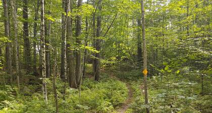 Beautiful Cabin Next To Hiking and Snowmobile Trails And Forest Reserve
