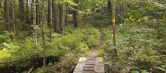 Beautiful Cabin Next To Hiking and Snowmobile Trails And Forest Reserve