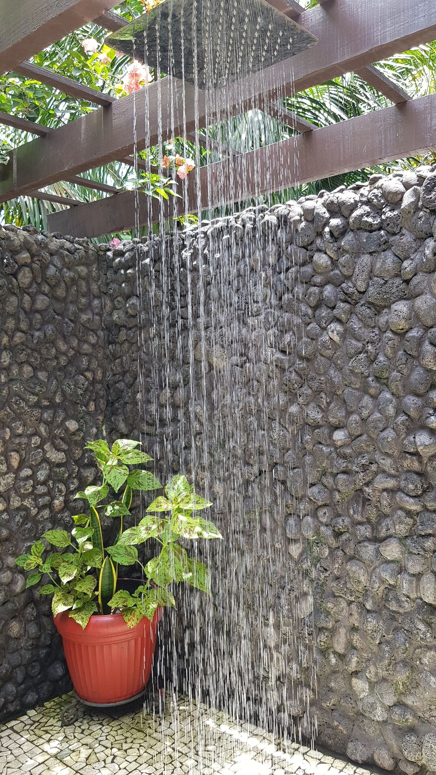 Regadera, toallas, jabón, shampoo 