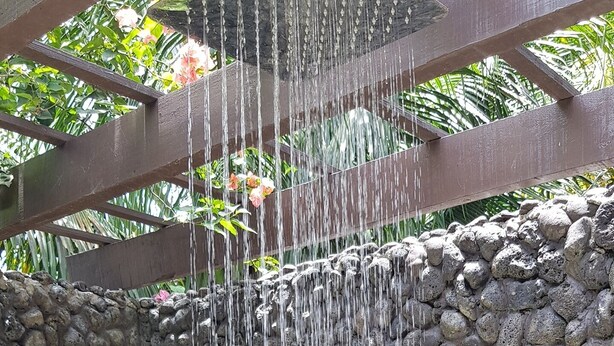 Un élément décoratif aquatique agrémenté d’un mur en pierre et d’une plante en pot.